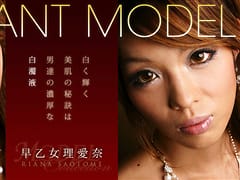 Model Collection select...70 エレガンス